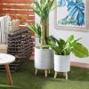 imageDeco 79 Magnesium Oxide Indoor Outdoor Large Pot with Wood Legs Set of 2 Planters 16quot 13quotH WhiteGray