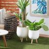 imageDeco 79 Magnesium Oxide Indoor Outdoor Large Pot with Wood Legs Set of 2 Planters 16quot 13quotH WhiteWhite