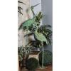 imageDeco 79 Metal Crane Decorative Garden Sculpture Indoor Outdoor Garden Statues Set of 2 Outdoor Sculptures 40quot 38quotH GreenGreen