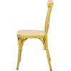 imageDeco 79 Metal Solid Outdoor Dining Chair  GreenYellow