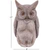 imageDeco 79 Polystone Owl Decorative Garden Sculpture Indoor Outdoor Garden Statue Outdoor Sculpture 9quot x 7quot x 17quot GrayGray