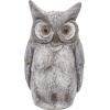 imageDeco 79 Polystone Owl Decorative Garden Sculpture Indoor Outdoor Garden Statue Outdoor Sculpture 9quot x 7quot x 17quot GrayGray