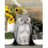 imageDeco 79 Polystone Owl Decorative Garden Sculpture Indoor Outdoor Garden Statue Outdoor Sculpture 9quot x 7quot x 17quot GrayGray
