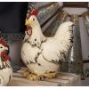 imageDeco 79 Polystone Rooster Decorative Garden Sculpture Indoor Outdoor Garden Statue Outdoor Sculpture 11quot x 5quot x 12quot WhiteWhite