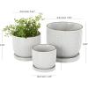 imageDeco 79 Ceramic Indoor Outdoor Planter Abstract Circle Patterned Small Planter Pot with Brown Accents and Base Tray Set of 3 Planters 7quot 5quot H White
