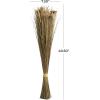 imageDeco 79 Dried Plant Grass Handmade Tall Floral Bouquet Natural Foliage 8quot x 5quot x 41quot BrownBrown