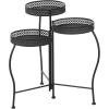 imageDeco 79 Metal Indoor Outdoor Plantstand Curved Folding 3 Tier Plant Shelf with Floral and Scroll Patterns Plant Stand 17quot x 17quot x 20quot SilverBlack