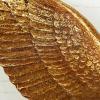imageDeco 79 Polystone Bird Home Wall Decor Metallic 3D Sculpted Floating Wall Sculpture Set of 3 Wall Art 10quot10quot10quotH GoldGOLD