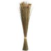 imageDeco 79 Dried Plant Grass Handmade Tall Floral Bouquet Natural Foliage 8quot x 5quot x 41quot BrownBrown