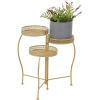 imageDeco 79 Metal Indoor Outdoor Plantstand Curved Folding 3 Tier Plant Shelf with Floral and Scroll Patterns Plant Stand 17quot x 17quot x 20quot SilverGold