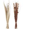 imageDeco 79 Dried Plant Foliage Home Decor Natural Foliage Natural Dried Foliage set of 2 Foliage for Decoration 15quot x 15quot x 46quot Brown