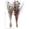 imageDeco 79 Dried Plant Foliage Home Decor Natural Foliage Natural Dried Foliage set of 2 Foliage for Decoration 15quot x 15quot x 46quot Brown