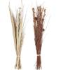 imageDeco 79 Dried Plant Foliage Home Decor Natural Foliage Natural Dried Foliage set of 2 Foliage for Decoration 15quot x 15quot x 46quot Brown