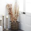 imageDeco 79 Dried Plant Foliage Home Decor Natural Foliage Natural Dried Foliage set of 2 Foliage for Decoration 15quot x 15quot x 46quot Brown