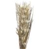 imageDeco 79 Dried Plant Palm Leaf Handmade Home Decor Natural Foliage Tall Floral Bouquet Natural Dried Foliage with Branches Foliage for Decoration 8quot x 3quot x 39quot GrayGrey