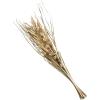 imageDeco 79 Dried Plant Palm Leaf Handmade Home Decor Natural Foliage Tall Floral Bouquet Natural Dried Foliage with Branches Foliage for Decoration 8quot x 3quot x 39quot GrayLight Brown