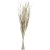 imageDeco 79 Dried Plant Palm Leaf Handmade Home Decor Natural Foliage Tall Floral Bouquet Natural Dried Foliage with Branches Foliage for Decoration 8quot x 3quot x 39quot GrayBeige