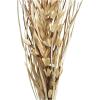 imageDeco 79 Dried Plant Palm Leaf Handmade Home Decor Natural Foliage Tall Floral Bouquet Natural Dried Foliage with Branches Foliage for Decoration 8quot x 3quot x 39quot GrayLight Brown