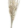 imageDeco 79 Dried Plant Palm Leaf Handmade Home Decor Natural Foliage Tall Floral Bouquet Natural Dried Foliage with Branches Foliage for Decoration 8quot x 3quot x 39quot GrayBeige