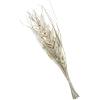 imageDeco 79 Dried Plant Palm Leaf Handmade Home Decor Natural Foliage Tall Floral Bouquet Natural Dried Foliage with Branches Foliage for Decoration 8quot x 3quot x 39quot GrayBeige