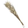 imageDeco 79 Dried Plant Palm Leaf Handmade Home Decor Natural Foliage Tall Floral Bouquet Natural Dried Foliage with Branches Foliage for Decoration 8quot x 3quot x 39quot GrayGrey
