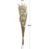 imageDeco 79 Dried Plant Palm Leaf Handmade Home Decor Natural Foliage Tall Floral Bouquet Natural Dried Foliage with Branches Foliage for Decoration 8quot x 3quot x 39quot GrayGrey