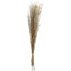 imageDeco 79 Dried Plant Palm Leaf Handmade Home Decor Natural Foliage Tall Floral Bouquet Natural Dried Foliage with Branches Foliage for Decoration 8quot x 3quot x 39quot GrayGrey