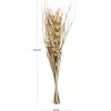 imageDeco 79 Dried Plant Palm Leaf Handmade Home Decor Natural Foliage Tall Floral Bouquet Natural Dried Foliage with Branches Foliage for Decoration 8quot x 3quot x 39quot GrayLight Brown