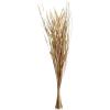 imageDeco 79 Dried Plant Palm Leaf Handmade Home Decor Natural Foliage Tall Floral Bouquet Natural Dried Foliage with Branches Foliage for Decoration 8quot x 3quot x 39quot GrayLight Brown