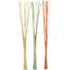 imageDeco 79 Dried Plant Pigeon pea Tall Sticks Natural Foliage Set of 2 7quotW 56quotH Brown2W  57H