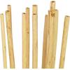 imageDeco 79 Dried Plant Pigeon pea Tall Sticks Natural Foliage Set of 2 7quotW 56quotH Brown2W  57H