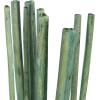 imageDeco 79 Dried Plant Pigeon pea Tall Sticks Natural Foliage Set of 2 7quotW 56quotH Brown2W  57H