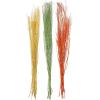 imageDeco 79 Dried Plant Pigeon pea Tall Sticks Natural Foliage Set of 2 7quotW 56quotH Brown6W  57H