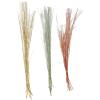imageDeco 79 Dried Plant Pigeon pea Tall Sticks Natural Foliage Set of 2 7quotW 56quotH Brown6W  57H