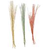 imageDeco 79 Dried Plant Pigeon pea Tall Sticks Natural Foliage Set of 2 7quotW 56quotH Brown6W  57H