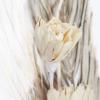 imageDeco 79 Dried Plant Pigeon pea Tall Sticks Natural Foliage Set of 2 7quotW 56quotH Brown7W  56H