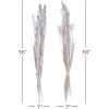 imageDeco 79 Dried Plant Pigeon pea Tall Sticks Natural Foliage Set of 2 7quotW 56quotH Brown7W  56H