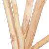 imageDeco 79 Dried Plant Pigeon pea Tall Sticks Natural Foliage Set of 2 7quotW 56quotH Brown7W  60H