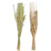 imageDeco 79 Dried Plant Pigeon pea Tall Sticks Natural Foliage Set of 2 7quotW 56quotH Brown9W  38H