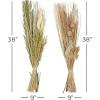 imageDeco 79 Dried Plant Pigeon pea Tall Sticks Natural Foliage Set of 2 7quotW 56quotH Brown9W  38H