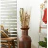 imageDeco 79 Dried Plant Pigeon pea Tall Sticks Natural Foliage Set of 2 7quotW 56quotH Brown9W  38H