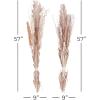 imageDeco 79 Dried Plant Pigeon pea Tall Sticks Natural Foliage Set of 2 7quotW 56quotH Brown9W  56H
