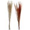 imageDeco 79 Dried Plant Pigeon pea Tall Sticks Natural Foliage Set of 2 7quotW 56quotH Brown9W  57H
