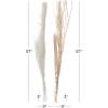 imageDeco 79 Dried Plant Pigeon pea Tall Sticks Natural Foliage Set of 2 7quotW 56quotH Brown9W  57H