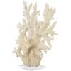 imageDeco 79 Polystone Coral Decorative Sculpture Home Decor Statue with Clear Acrylic Base Accent Figurine 26quot x 8quot x 23quot Cream21 x 6 x 21