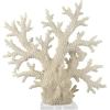 imageDeco 79 Polystone Coral Decorative Sculpture Home Decor Statue with Clear Acrylic Base Accent Figurine 26quot x 8quot x 23quot Cream21 x 6 x 21