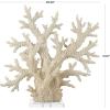 imageDeco 79 Polystone Coral Decorative Sculpture Home Decor Statue with Clear Acrylic Base Accent Figurine 26quot x 8quot x 23quot Cream21 x 6 x 21