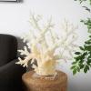 imageDeco 79 Polystone Coral Decorative Sculpture Home Decor Statue with Clear Acrylic Base Accent Figurine 26quot x 8quot x 23quot Cream21 x 6 x 21