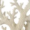 imageDeco 79 Polystone Coral Decorative Sculpture Home Decor Statue with Clear Acrylic Base Accent Figurine 26quot x 8quot x 23quot Cream21 x 6 x 21