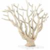imageDeco 79 Polystone Coral Decorative Sculpture Home Decor Statue with Clear Acrylic Base Accent Figurine 26quot x 8quot x 23quot Cream26 x 8 x 23